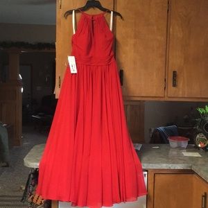 Bridesmaids/Prom Dress